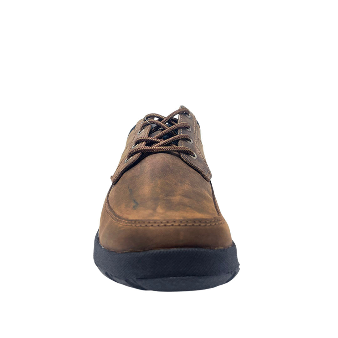 Casuales Berto Oxford para hombre color café